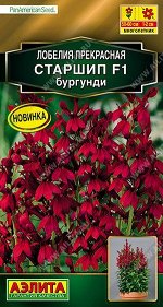 Лобелия Старшип F1 бургунди (Код: 89535)