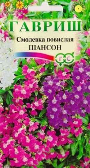 Смолевка Шансон (Код: 4408)