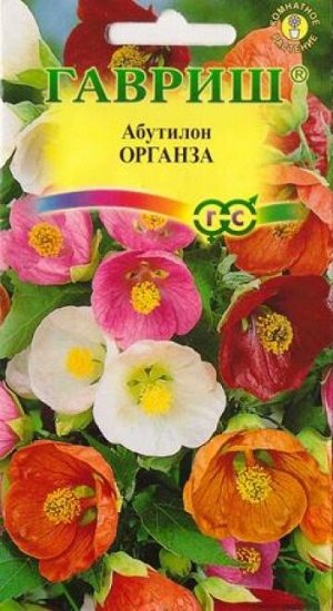 Абутилон Органза смесь (Код: 67010)