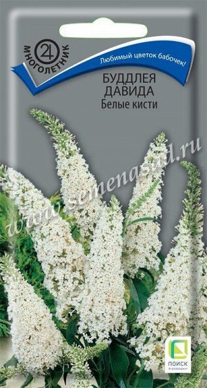 Буддлея Давида Белые кисти (Код: 89787)