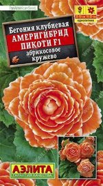 Бегония Америгибрид Пикоти Абрикосовое кружево F1 (Код: 86000)