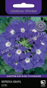 Вербена Кварц Блю (Код: 89788)