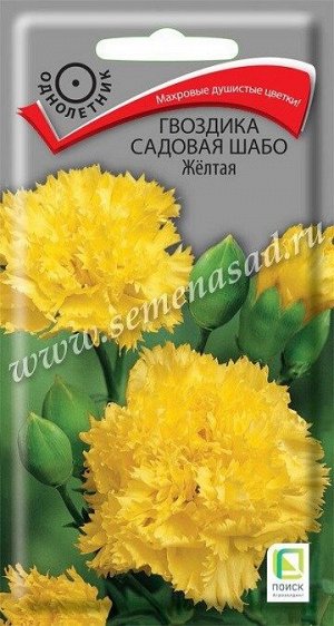 Гвоздика Садовая Шабо Желтая (Код: 89791)