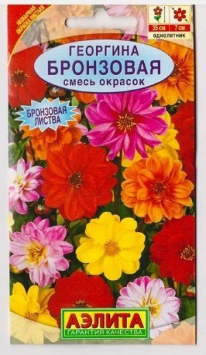 Георгина Бронзовая смесь (Код: 6683)