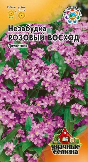 Незабудка Розовый восход УС (Код: 89842)