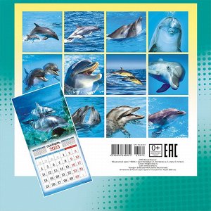 СРЕДНИЙ перекидной настенный календарь на скрепке на 2023 год "Дельфины"