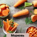 Морковь