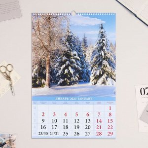 Календарь перекидной на ригеле "Времена года" 2023 год, 320х480 мм