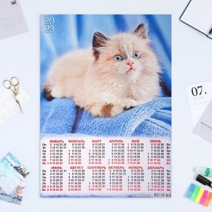 Календарь листовой "Кошки 2023 - 3" 2023 год, бумага, А2
