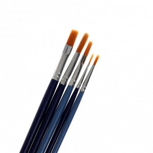 Набор кистей Синтетика 5 штук (круглые №: 1, 2, 5; плоские №: 5, 8) интенсивные цвета деревянной ручки, МИКС, Calligrata №6