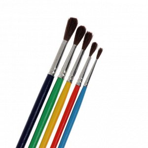 Набор кистей Белка 5 штук (круглые №: 1, 2, 3, 4, 5), интенсивные цвета деревянной ручки, МИКС, Calligrata №4