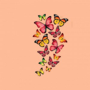 Термотрансфер «Бабочки», 11 x 19,5 см