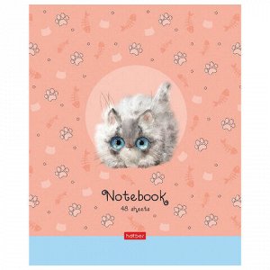Тетрадь А5 48 л. HATBER скоба, клетка, обложка картон, "Кошарики" (5 видов в спайке), 48Т5В1