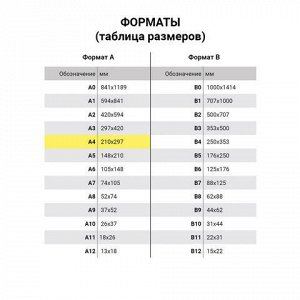 Папка на молнии с ручками ЮНЛАНДИЯ, А4, 1 отделение, пластиковая, 80 мм, "Футбол", 228166