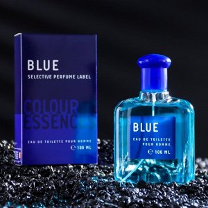 Туалетная вода мужская "Colour essence. Blue", 100 мл