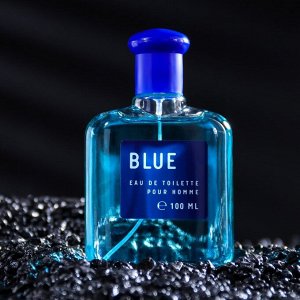Туалетная вода мужская "Colour essence. Blue", 100 мл