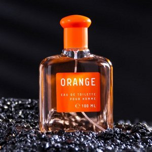 Туалетная вода мужская "Colour essences Orange", 100 мл