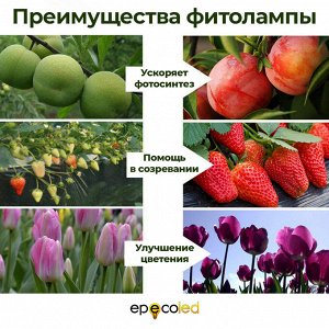 Фитолампа с двумя светильниками, USB РАСПРОДАЖА