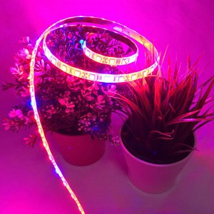 "Фитолента на USB, 2м РАСПРОДАЖА