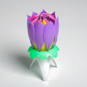 Свеча для торта музыкальная ""Тюльпан"", фиолетовая, 12×5 см