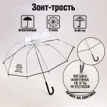 Зонт-купол &quot;Погодка офигительная, но и ты не отстаёшь&quot;, 8 спиц, d = 88 см, прозрачный
