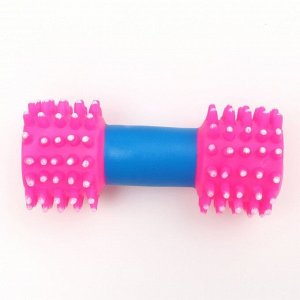Игрушка для собак пищащая "Массажная гантель", 14 см, розовая/синяя