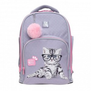 Рюкзак школьный Studio Pets, 38 х 29 х 16,5 см, эргономичная спинка, фиолетовый
