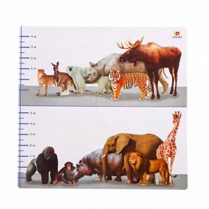Развивающий набор «Животные мира»