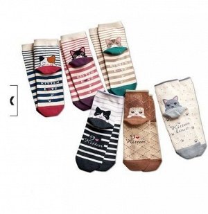 Набор носков для девочки (6 пар), принт "котята", цвета в ассортименте