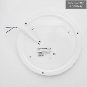 Светильник 2709/1SL LED 24Вт 4000К серебро d.20 см