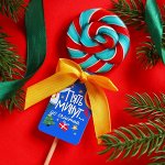 Леденец на палочке &quot;Пять минут до счастья&quot;, вкус: Грейпфрут-гуава, 15 г.