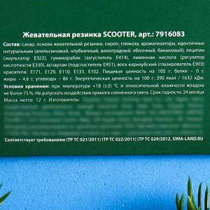 Жевательная резинка в блистере "Деньгиприносин", 12 г.