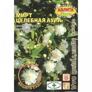 Мирт Целебная аура (Аэлита)