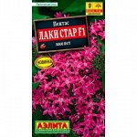 Пентас Лаки стар F1 виолет (Аэлита)