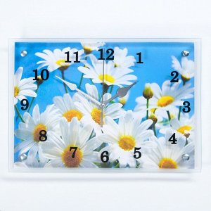 Часы-картина настенные, серия: Цветы, "Ромашки", 25х35  см