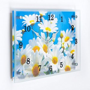 Часы настенные, серия: Цветы, "Ромашки", 25х35  см