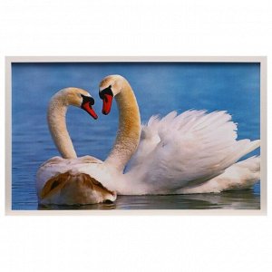 Картина "Лебеди" 67х107 см рамка МИКС
