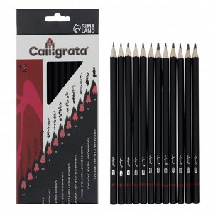 Calligrata Набор карандашей чернографитных, 12 штук, твёрдость 2Н - 8В, гранённые, заточенные, в картонной коробке