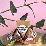Энзимная ночная маска с тыквой и керамидами Too Cool For School Pumpkin Sleeping Pack, 2 мл * 1 шт.