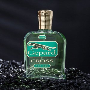 СИМА-ЛЕНД Туалетная вода Altro Aroma Gepard Cross мужская, 95 мл