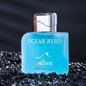 Туалетная вода OCEAN BYRD мужская, 100 мл