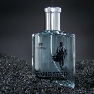 Туалетная вода мужская Gangster Platinum, 100 мл