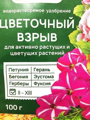 Цветочный взрыв, 100 г, БиоМастер водорастворимое удобрение