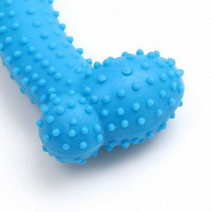 Игрушка жевательная "Любимое лакомство", TPR, 11 х 4 см, голубая