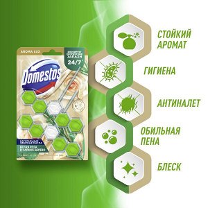 NEW ! Domestos Aroma Lux Duo арома-блок для очищения унитаза Свежесть зеленого чая, блокировка неприятного запаха 2 х 50 гр