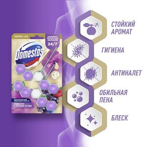 NEW ! Domestos Aroma Lux Duo арома-блок для очищения унитаза Сказочный аромат, блокировка неприятного запаха 2 х 50 гр