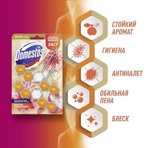 NEW ! Domestos Aroma Lux Duo арома-блок для очищения унитаза Экзотический букет, блокировка неприятного запаха 2 х 50 гр