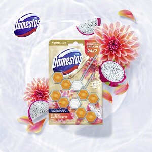 NEW ! Domestos Aroma Lux Duo арома-блок для очищения унитаза Экзотический букет, блокировка неприятного запаха 2 х 50 гр