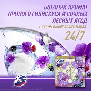 NEW ! 2+1 Domestos Aroma Lux Trio арома-блок для очищения унитаза Сказочный аромат, блокировка неприятного запаха 3 x 50 гр