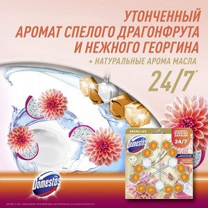 NEW ! 2+1 Domestos Aroma Lux Trio арома-блок для очищения унитаза Экзотический букет, блокировка неприятного запаха 3 x 50 гр